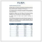 FLAVA Real Estate Basic+ Investitionsreport - Immobilienanalyse mit 10-Jahres-Prognose - Cashflow Entwicklung